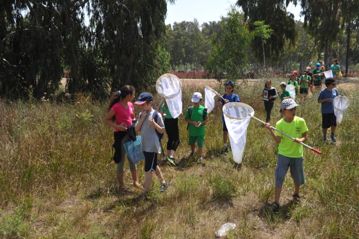 חינוך לקיימות במרחב המוניציפלי | צעד ירוק: חינוך סביבתי, חינוך לקיימות (בתמונה: קבוצת ילדים בטבע)