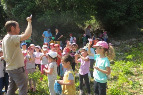 חינוך לקיימות במרחב המוניציפלי | צעד ירוק: חינוך סביבתי, חינוך לקיימות (בתמונה: קבוצת ילדים בטבע)